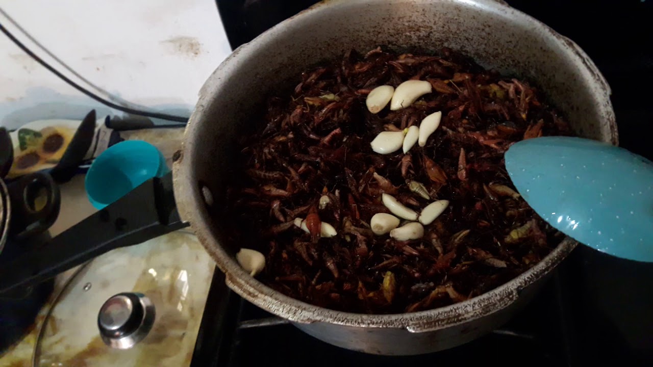 Elaboración  de chapulines al estilo Oaxaca