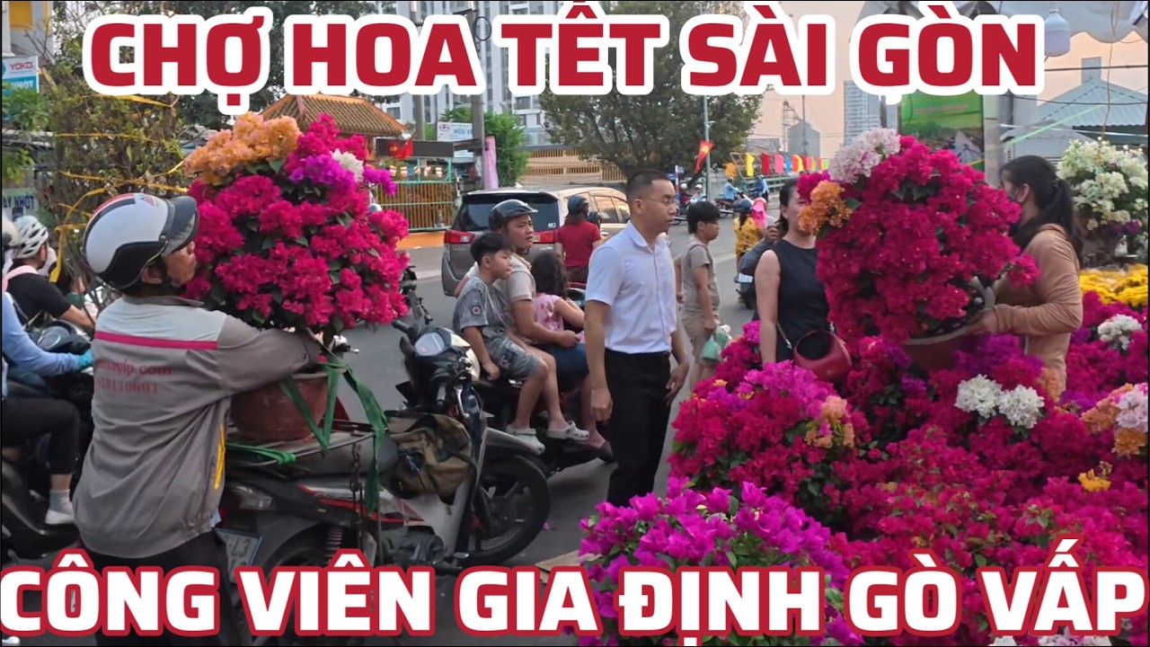 CHỢ HOA TẾT SÀI GÒN CÔNG VIÊN GIA ĐỊNH QUẬN GÒ VẤP 28 TẾT 2026