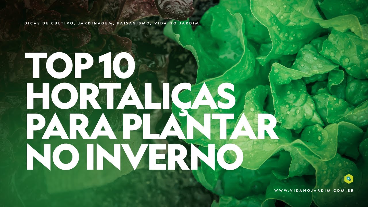 TOP 10 HORTALI&Ccedil;AS para PLANTAR no INVERNO