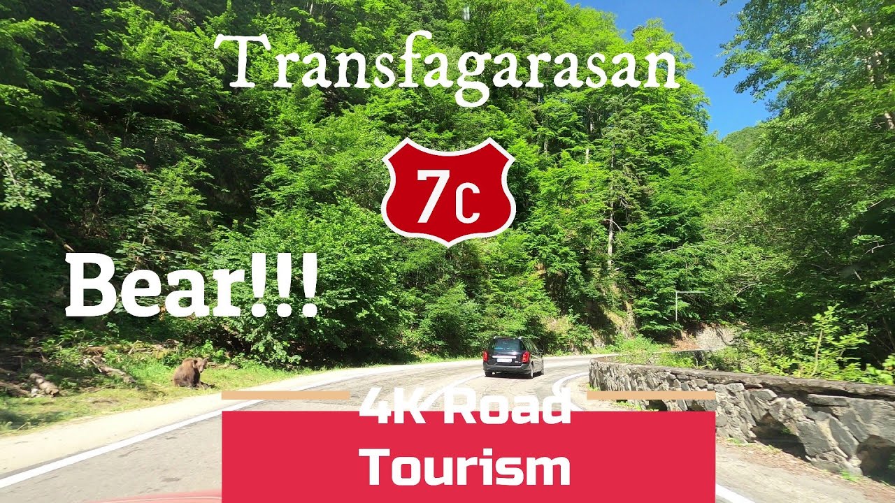 4K Scenic Drive Romania: DN7C Curtea de Argeș - Bâlea Lake - Transfăgărașan - bears on the road!!!