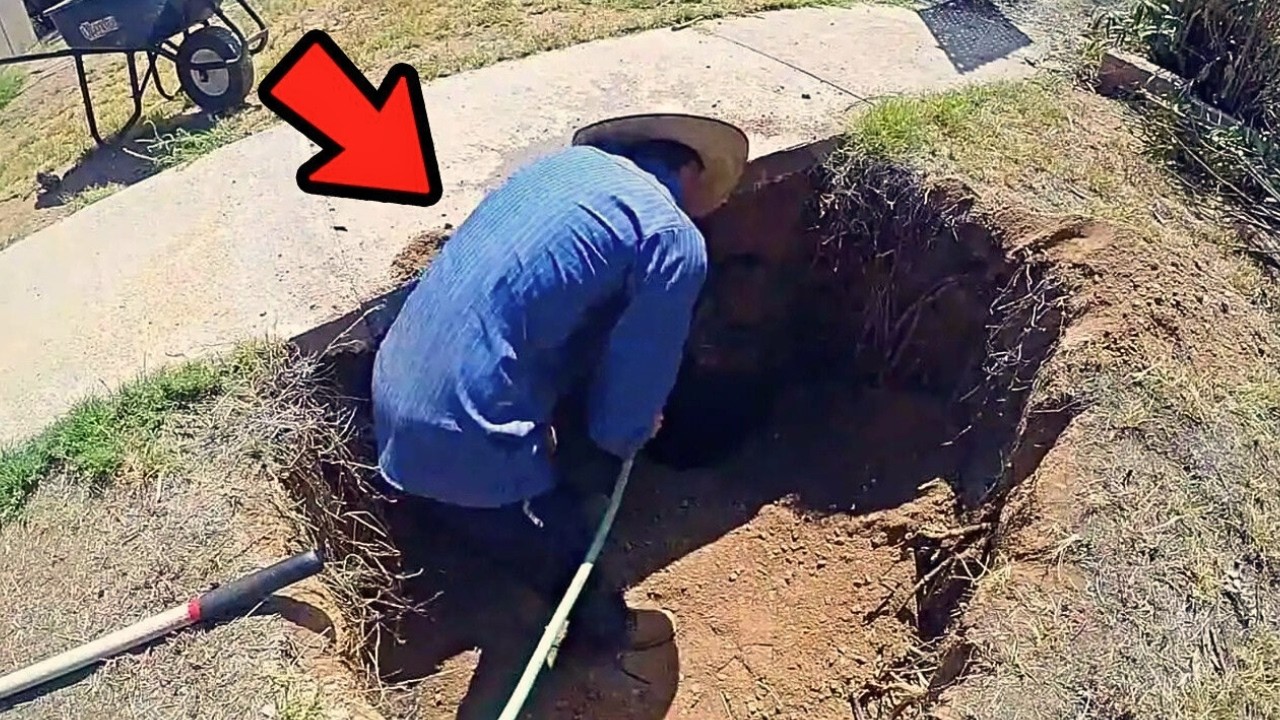 Un homme n’arrêtait pas d’entendre des bruits étranges sous son allée, regardez ce qu’il a trouvé...
