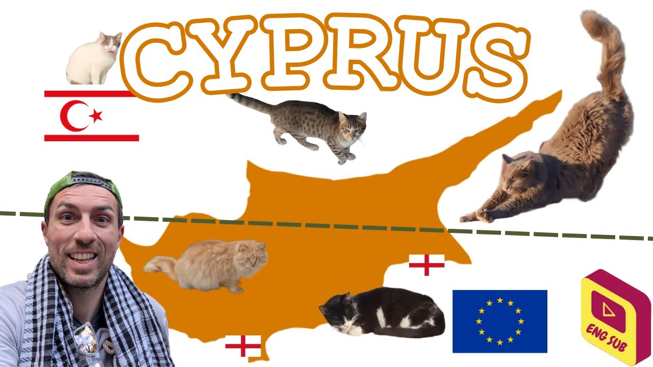 Io che accarezzo tutti i gatti di Cipro in 20 minuti 🐱
