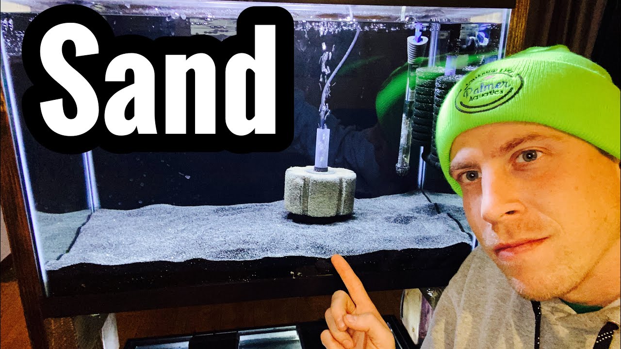 Rinse Aquarium Sand - How To Guide