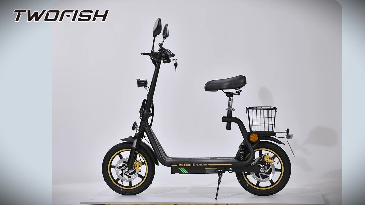 TWOFISH M5 Elite E EEC zertifizierter E Scooter Unboxing  500W 48V 13Ah  Stra&szlig;enzulassung in EU