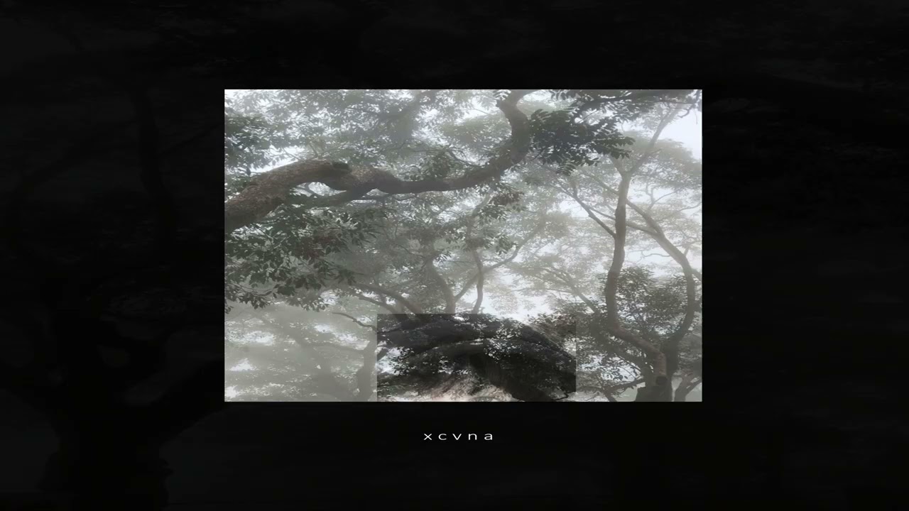 ‚Äé ‚Äé ‚Äé ‚Äéxcvna - ок