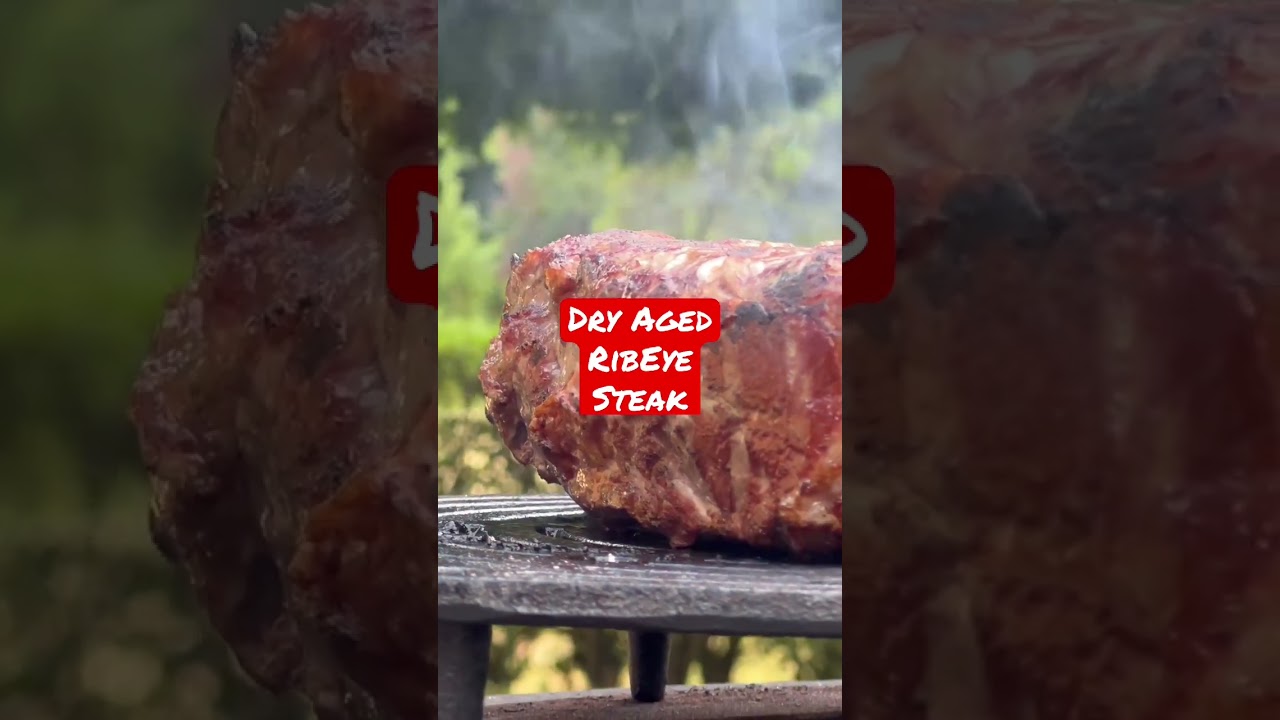 Dry Aged Ribeye Steak #grill #feuer #beef #dryaged #dryagedbeef #steak
