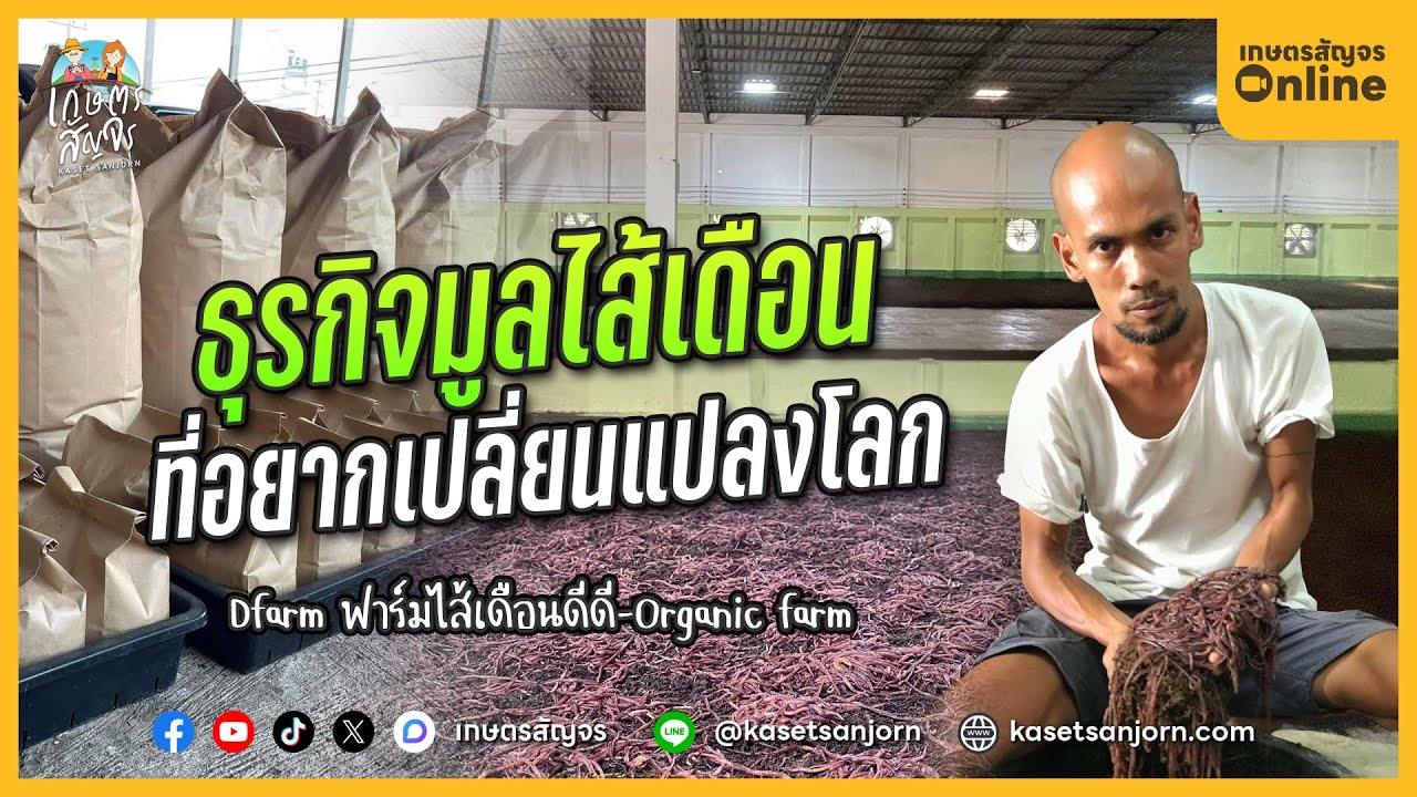 เริ่มต้นเลี้ยงไส้เดือน 1,000 บาท สู่โรงงานปุ๋ยมูลไส้เดือนระดับประเทศ | เกษตรสัญจร「Online」