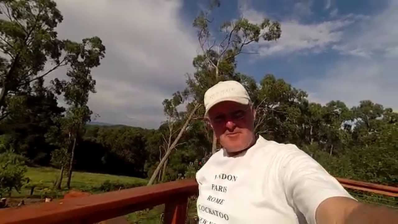 Building a Pergola, Cockatoos, Budweiser Beer