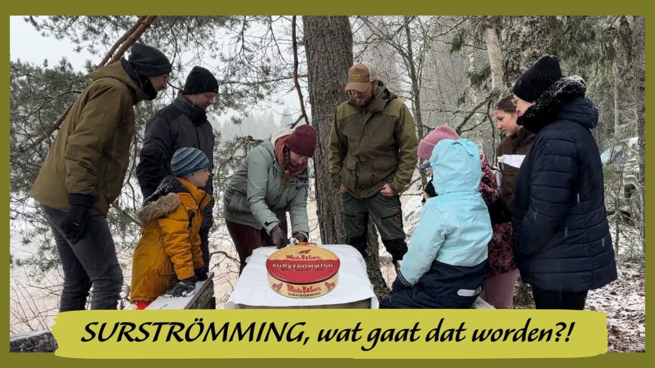 Wonen in Zweden 🇸🇪 SURSTRÖMMING, HOE LEKKER IS DAT?!🤔Vlog #42 (entertainment purpose only)