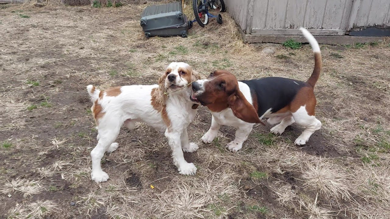 Soccer time or more like pooping time?....dad, give us some privacy!