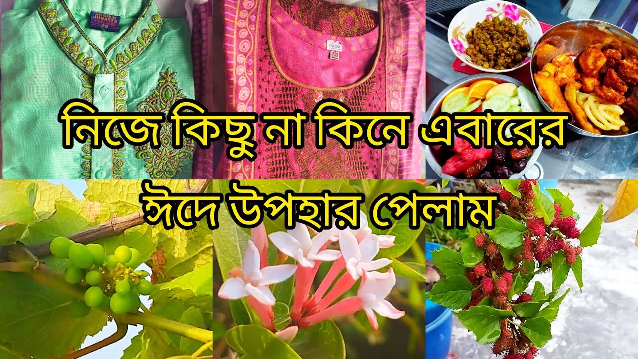 ঈদের উপহার এবং ছাদ বাগানের গল্প! 🏡 তাজা ধনিয়া পাতা তোলার এক অন্যরকম আনন্দ!