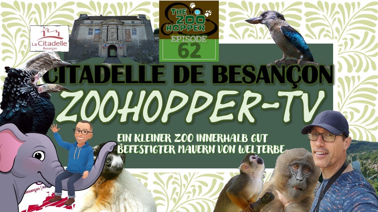Ein kleiner Zoo innerhalb gut befestigter Mauern vom Welterbe (Zoohopper-TV Episode 62)