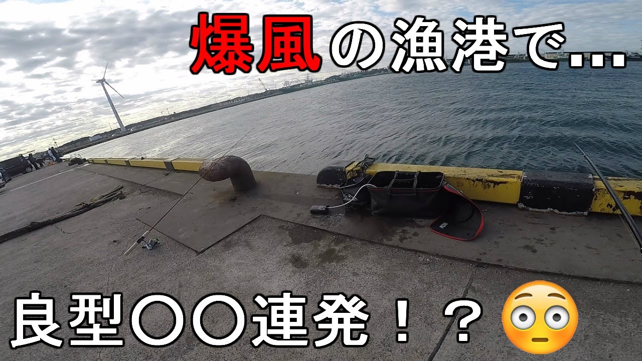 【波崎新港】12月爆風の港で良型連発！？強風の中、茨城県神栖市の関東最東端にある広い漁港で釣りしてみたら…！【2020.12.04】