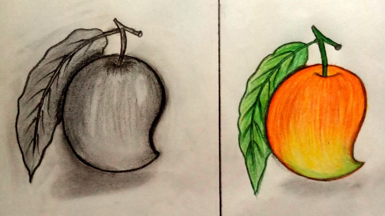 How to draw a mango step by step // Mango pencil sketch //Farjana Drawing Academy// Mango Drawing