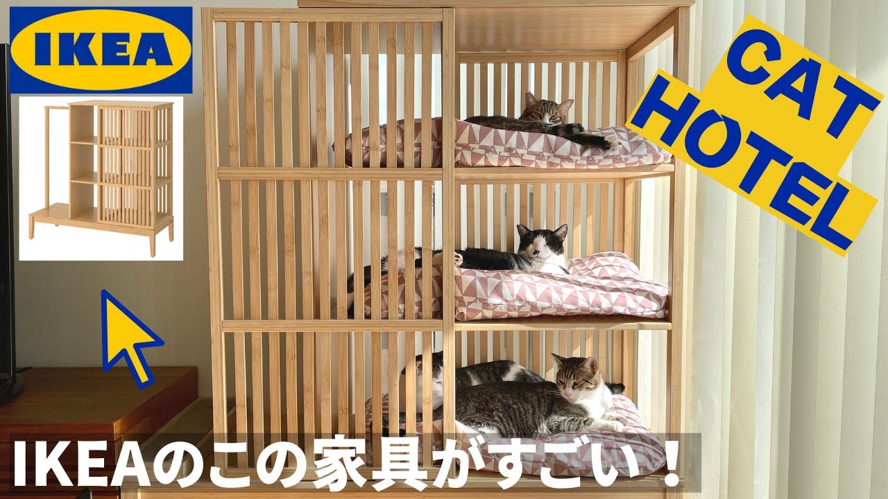 【IKEA購入品】猫たちに大人気の3段ベッドを紹介します