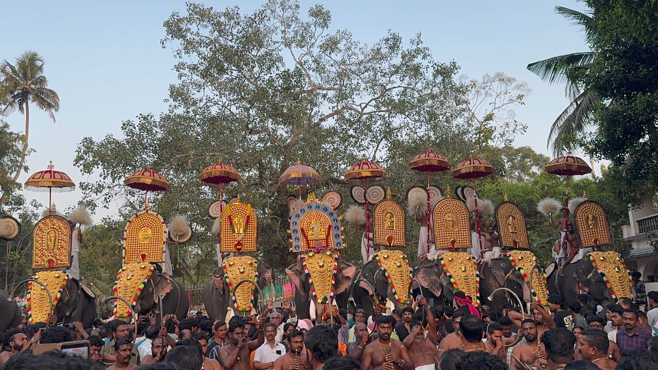 Kattuvallil Pooram/പകൽപ്പൂരം 2026