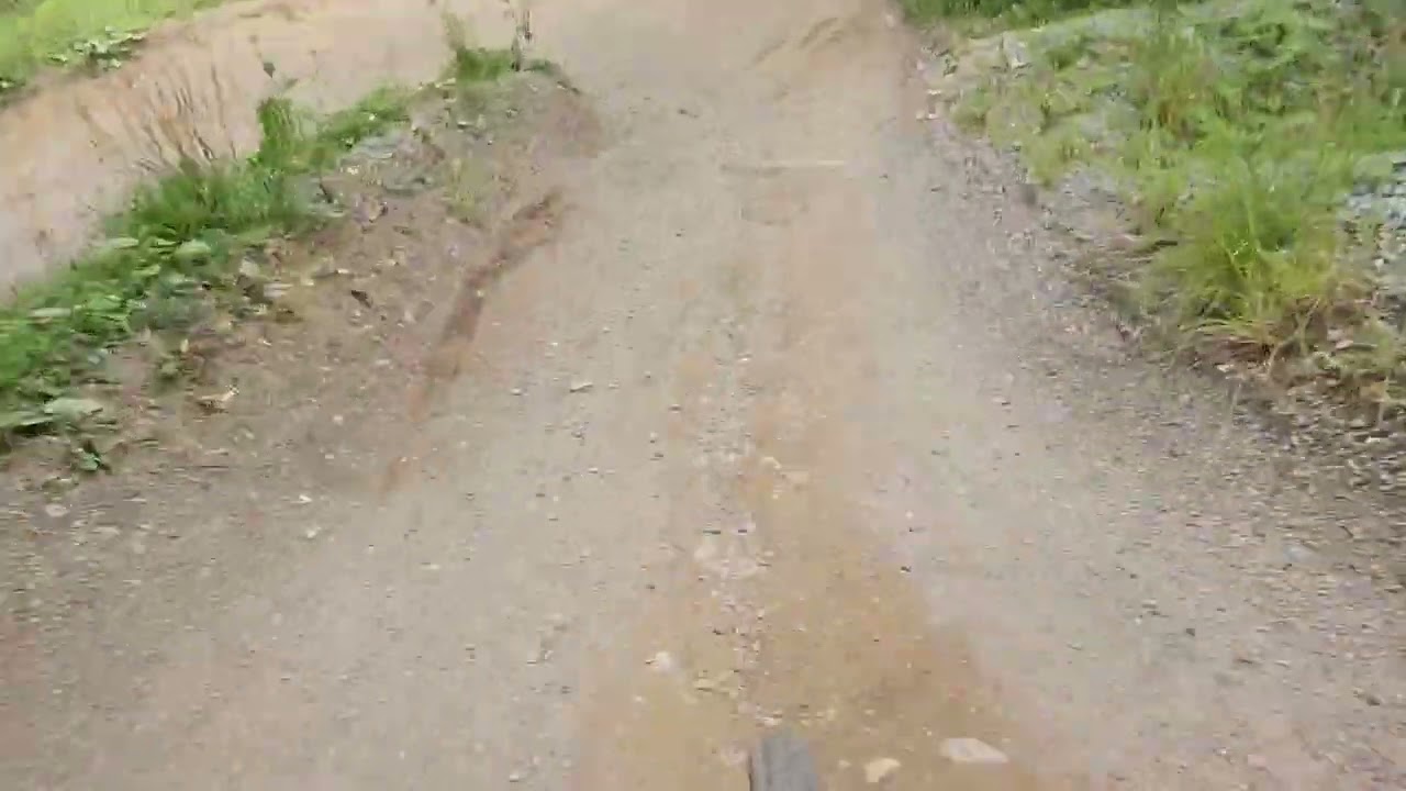 Stumpjumper Evo Expert - Fox 36 trail chatter