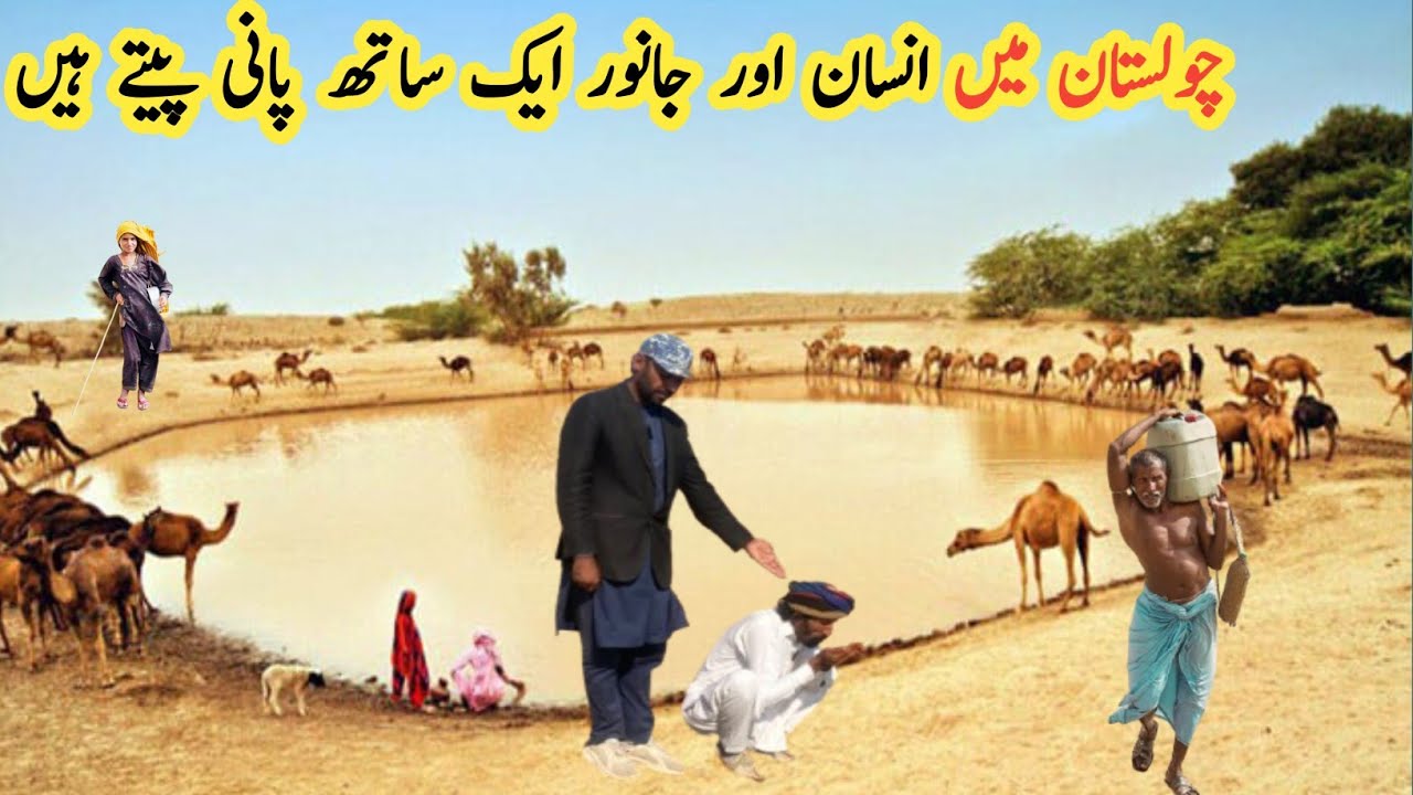 cholistan Mein Insan aur Janwar Ek Sath Pani Peete Hain | Desert lifestyle in Pakistan 