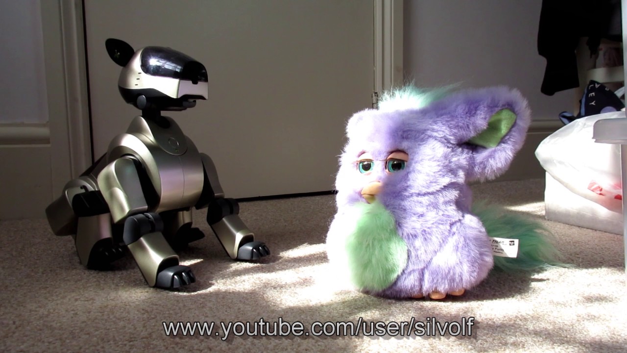 Aibo VS Funky Furby