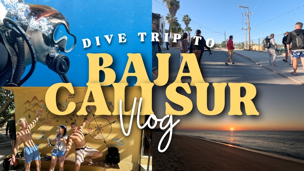 Swim with the GIANTS of the Sea of Cortez in Mexico | solo travel bucketlist