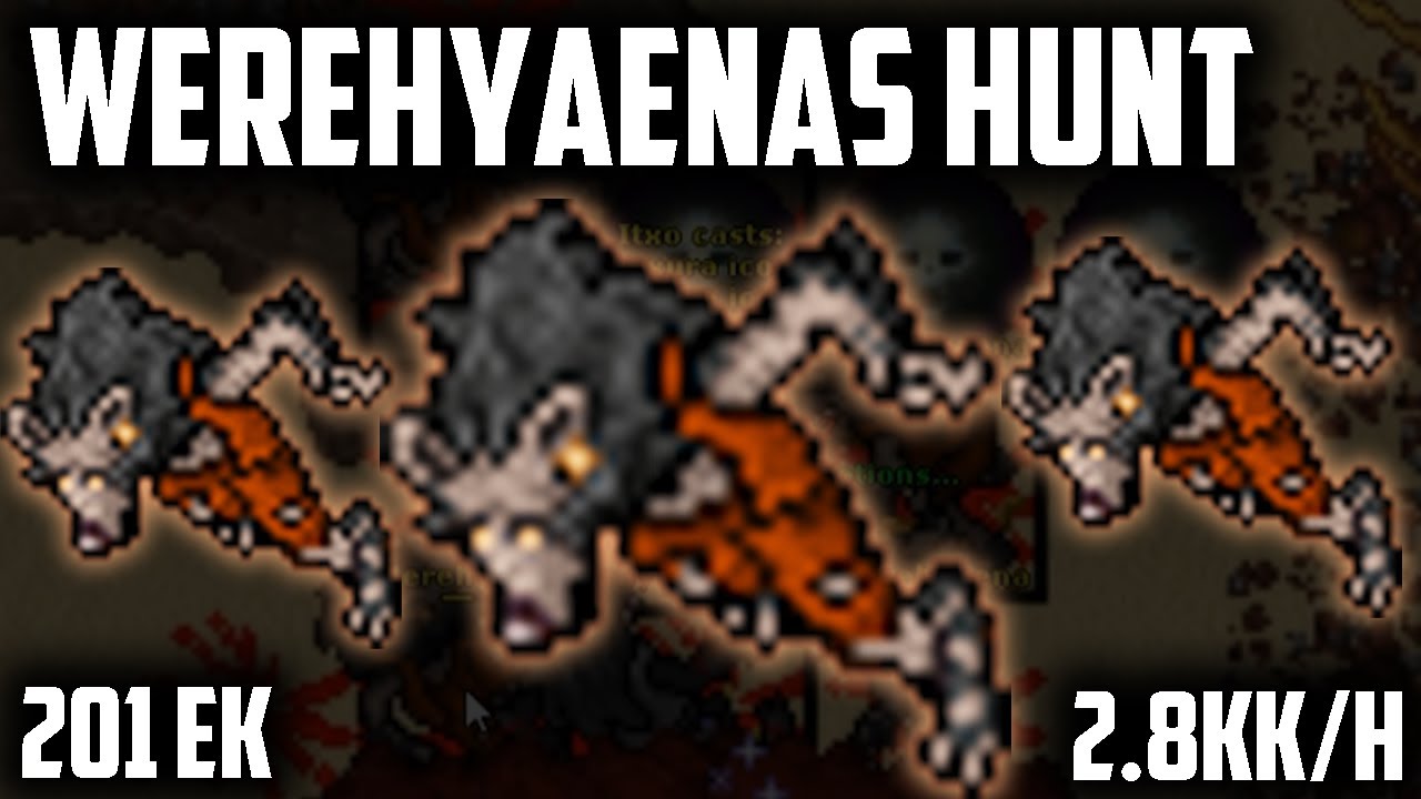 EK 201 WEREHYAENAS - 2.8KK/H - BEST places to hunt for KNIGHTS