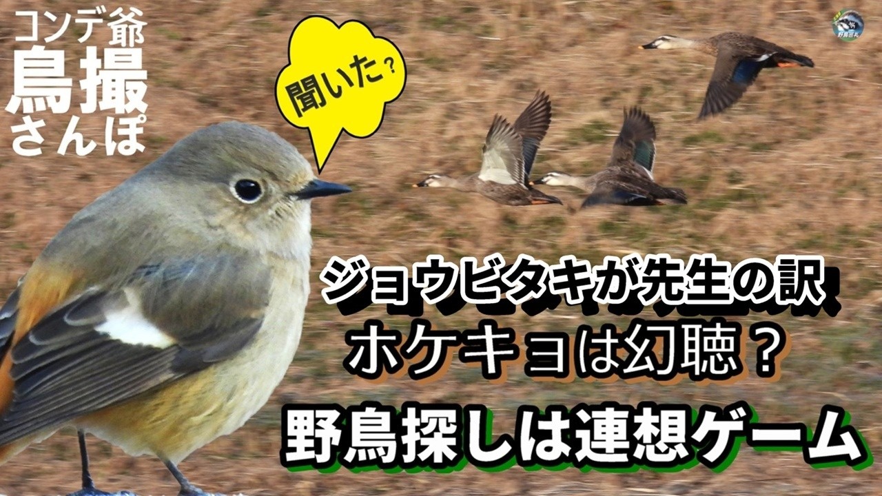 野鳥撮影は連想ゲーム　ホケキョは幻聴？　北播磨のええもんあるで