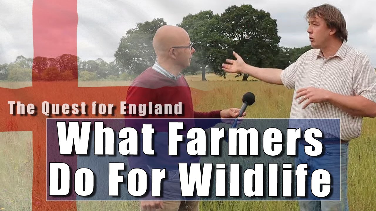 The Quest For England - In Which Lee Dallyn Tells Me What Farmers Really Do