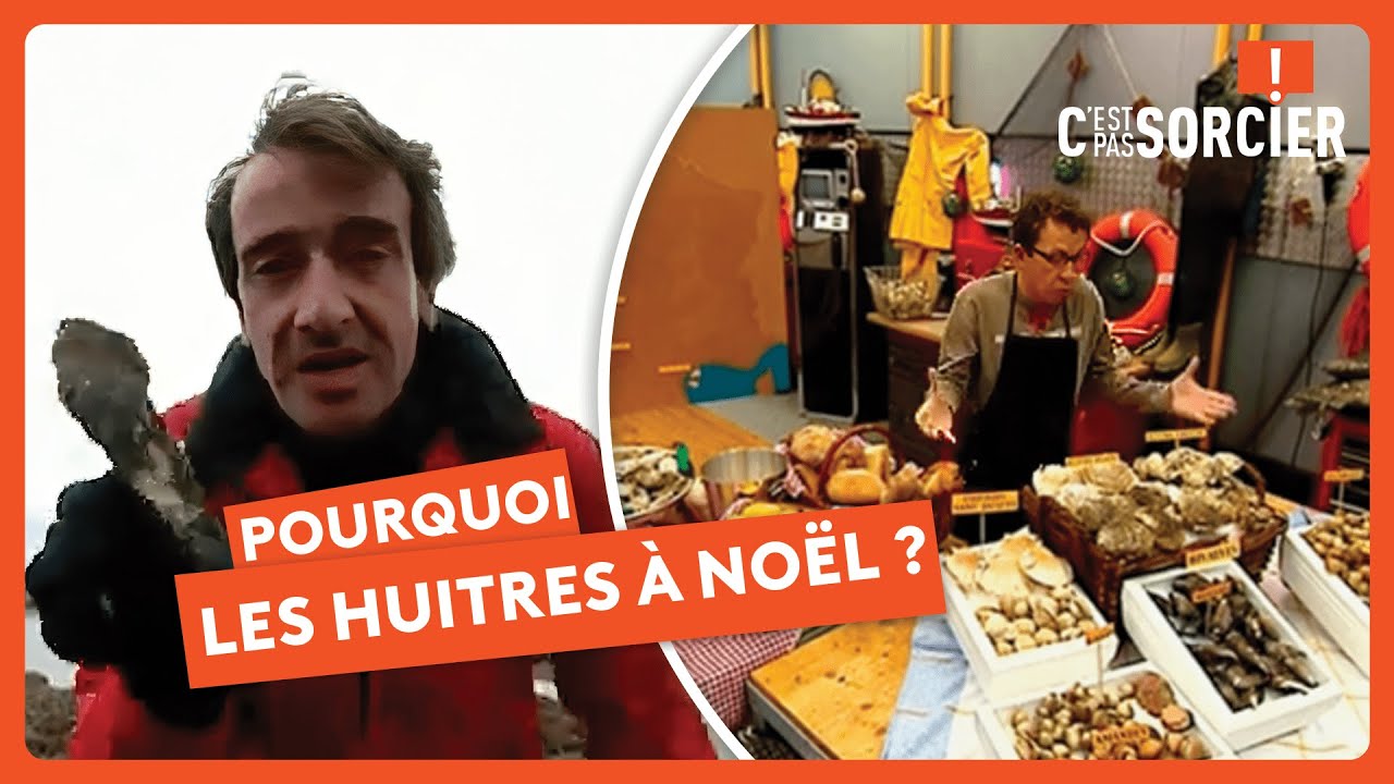 Pourquoi mange t-on des huîtres à Noël ?