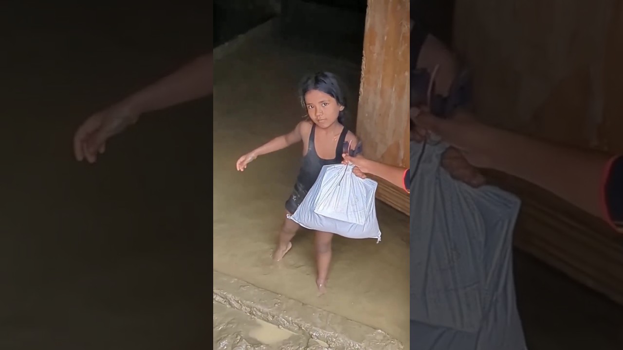Why Does Assam Flood Every Year? 🌊