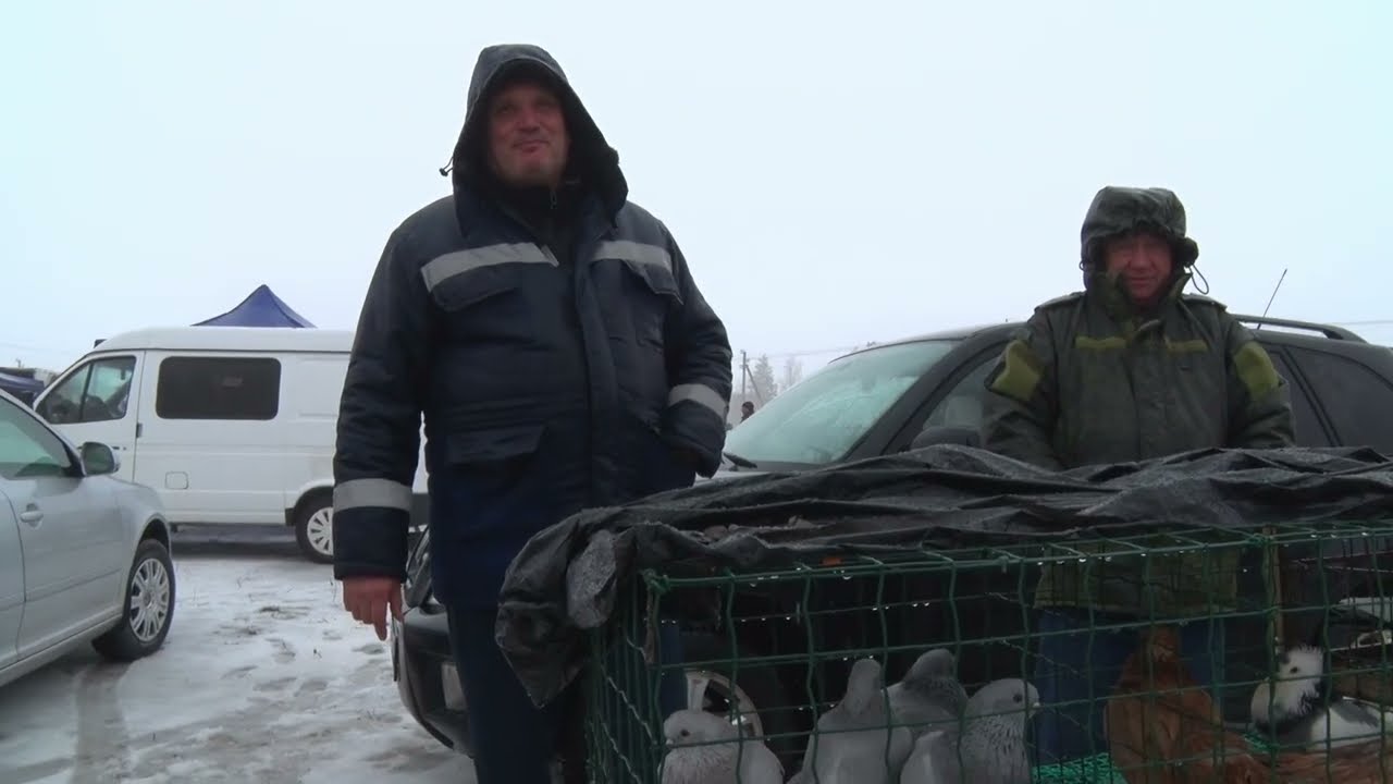 Птичий рынок. Ленинградская. [10.02.2026]