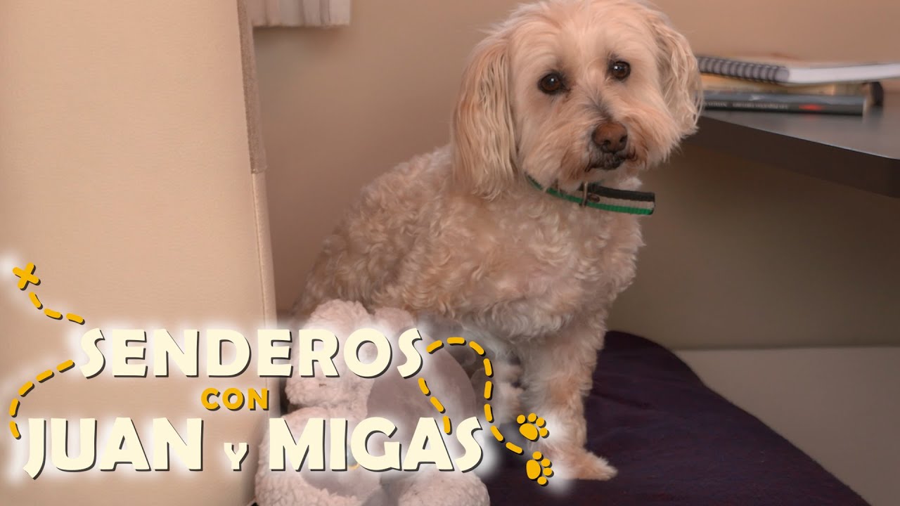 Senderos con Juan y Migas - Calanques | La2