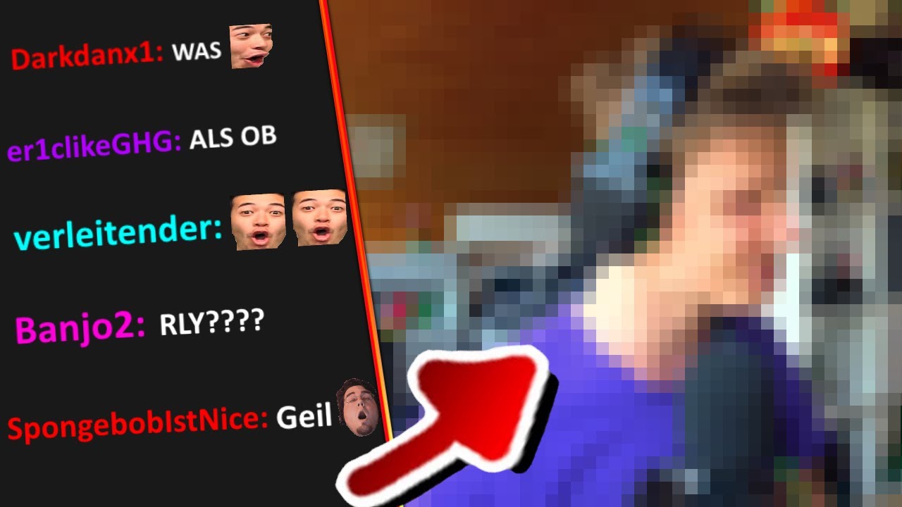 Ich TROLLE meinen Stream mit FAKE FACECAM