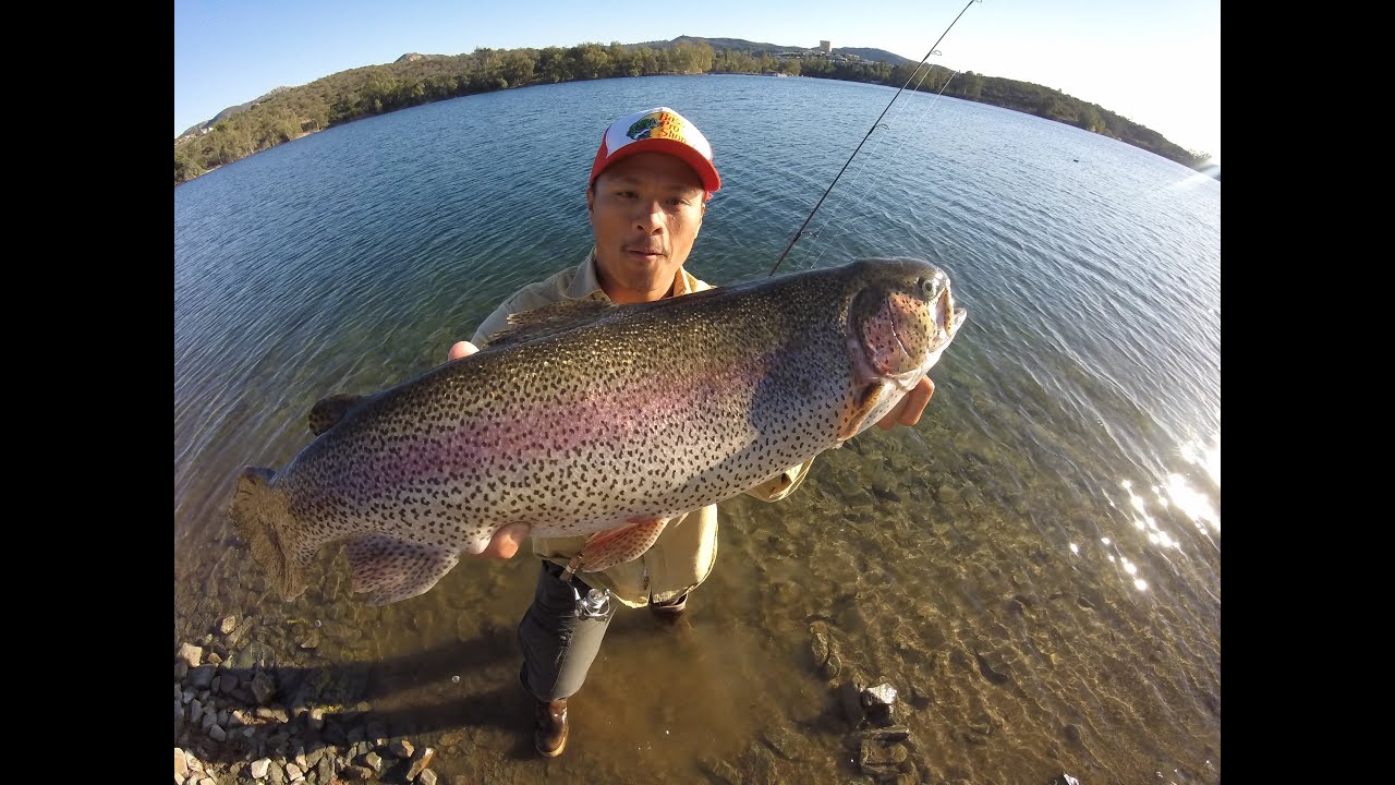 How to fish for those finicky Trout - San Diego Fishing with Rodney Marquez