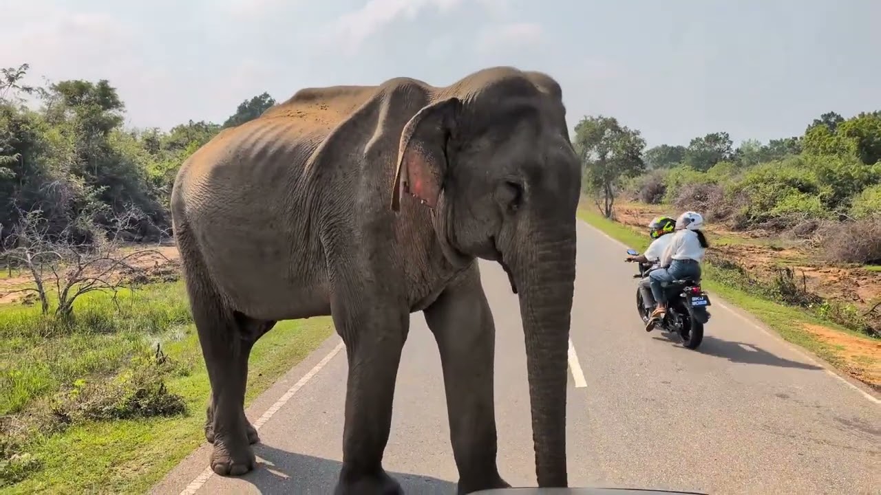 Sri Lanka i Malediwy styczeń 2026