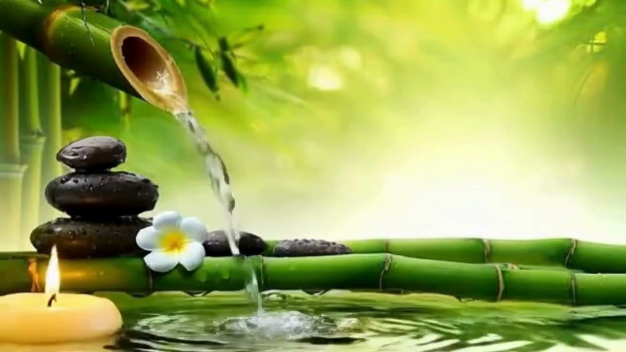 Очищення організму