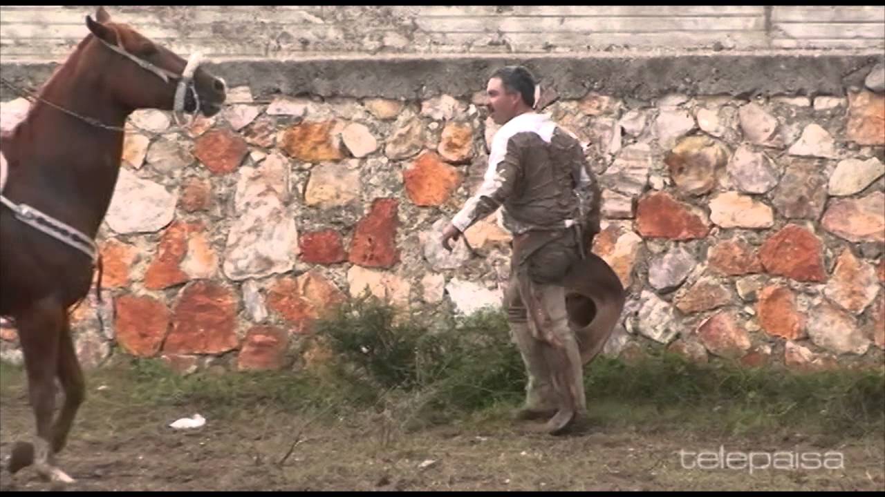 32 - Lo Mejor de los Coleaderos - San Jos&eacute; de la Parrilla, Durango