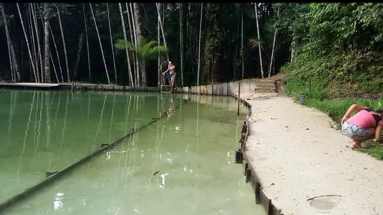 Os melhores balneários do Pará de águas verdes e azuis