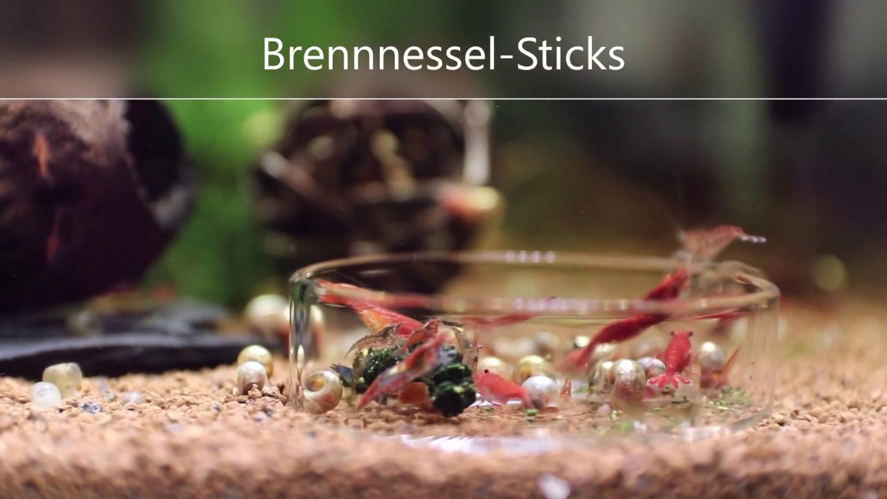 Aqua-Humin.de Brennnessel Sticks