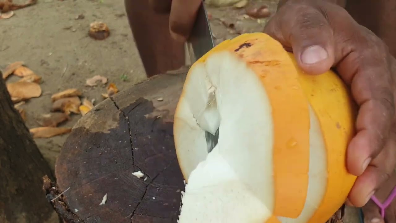 Fresh King Coconut Cutting Skill.Cutting Skill. Short Video. Short. KingCoconut.Cutting.Cuttingskill