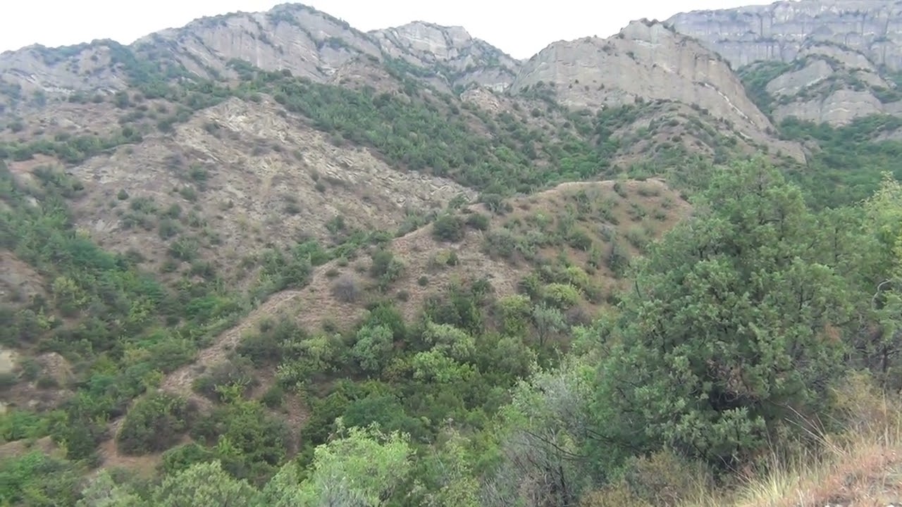 წ1