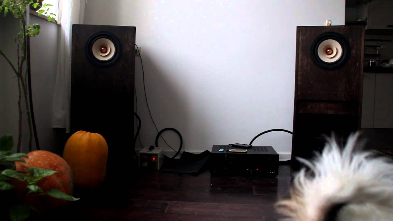 Tang Band W8-1808 with Luxman LV 105