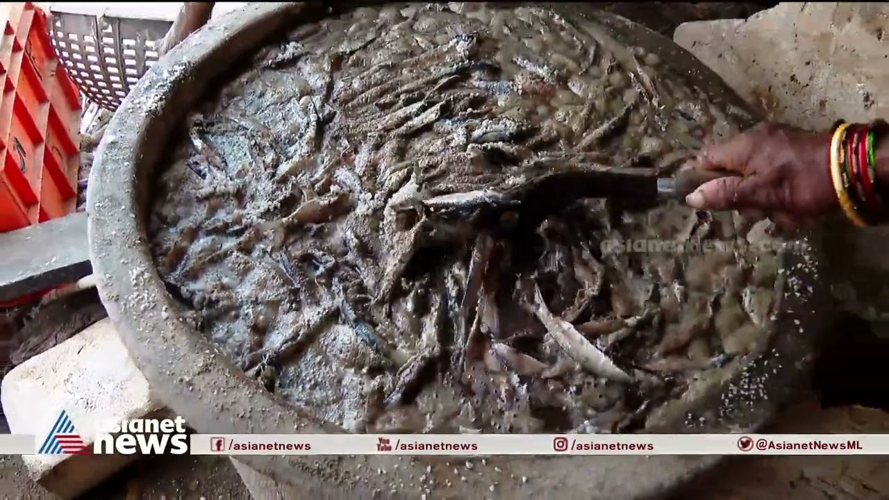 'മീൻ കഴുകുന്നത് മനുഷ്യവിസർജ്യം കലർന്ന വെള്ളത്തിൽ'; ഉണക്കമീൻ തയ്യാറാക്കുന്നത് ഇങ്ങനെയൊക്കെയാണ്