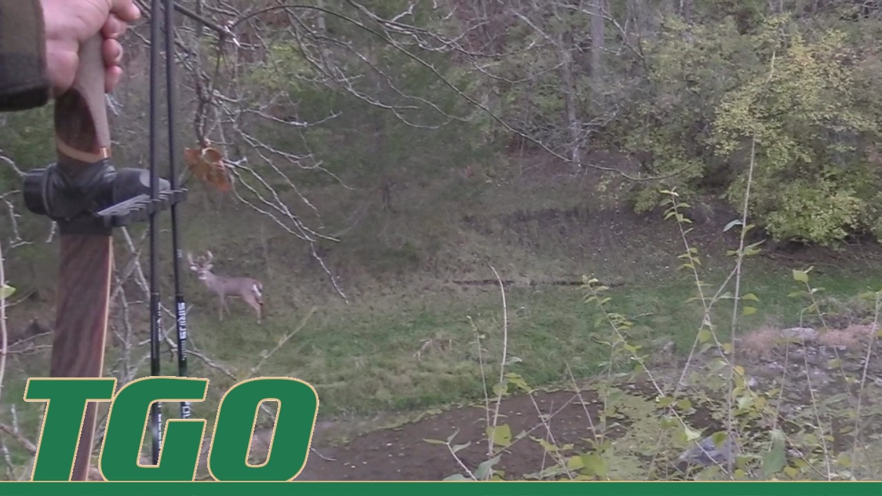 Illinois Archery Season 2025 - Tex Grebner Outdoors