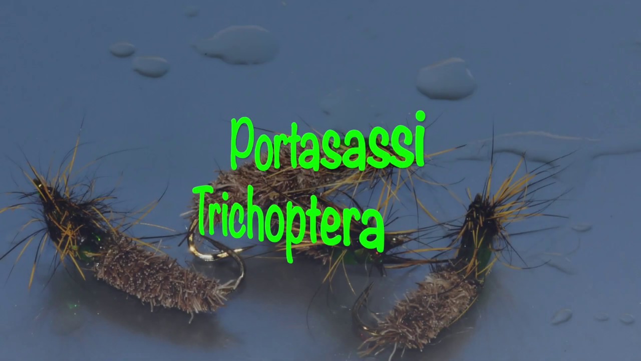 Portasassi