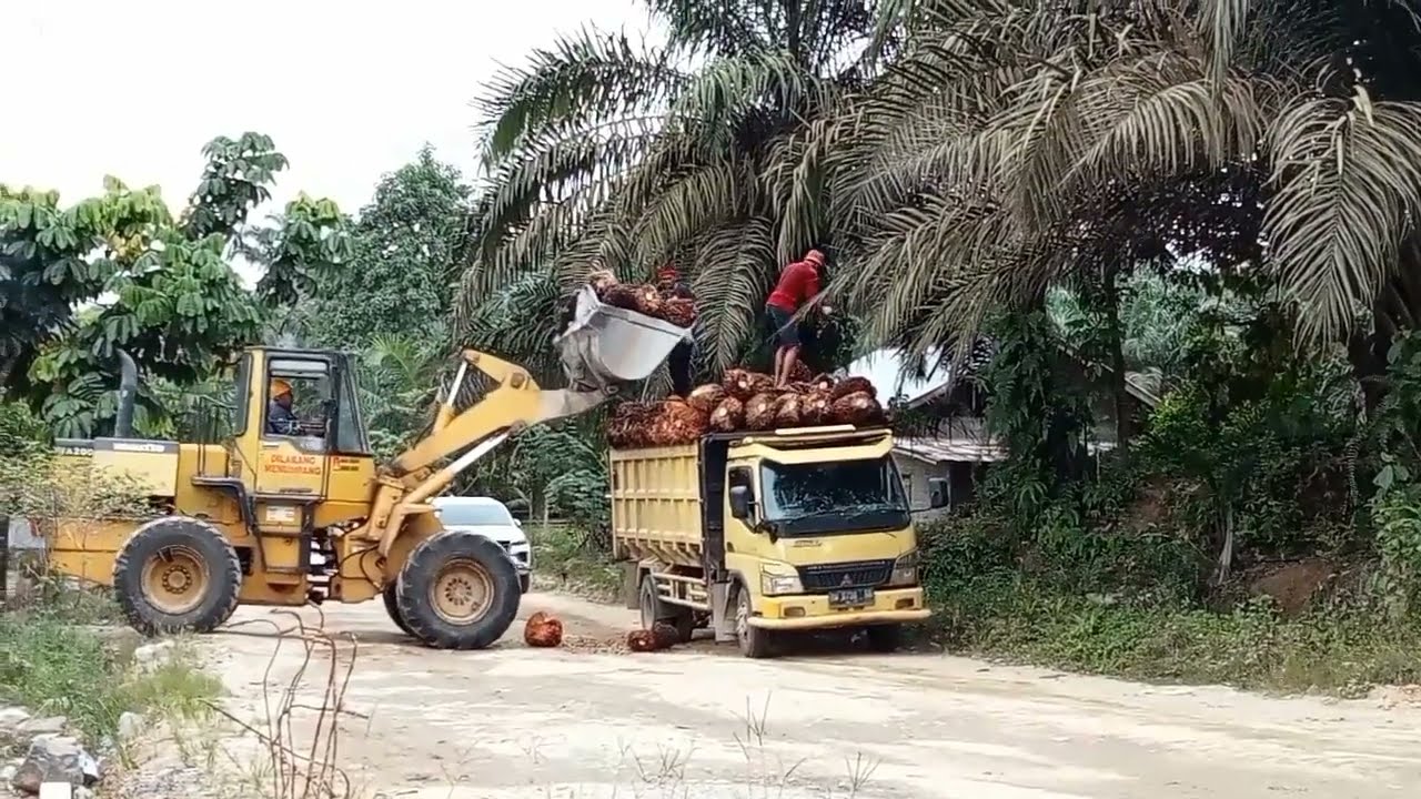 Truk sawit terguling akibat salah ambil jalan #trukmania#truksawitriau