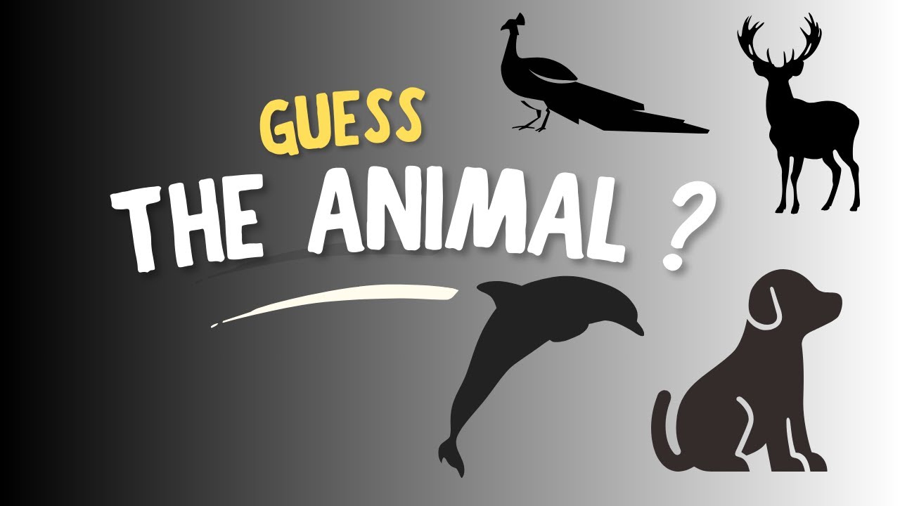 🐾 Animal Quiz for Kids | Guess the Animals 🐶🦁 | Fun Learning Video | Baby Voice Wonders