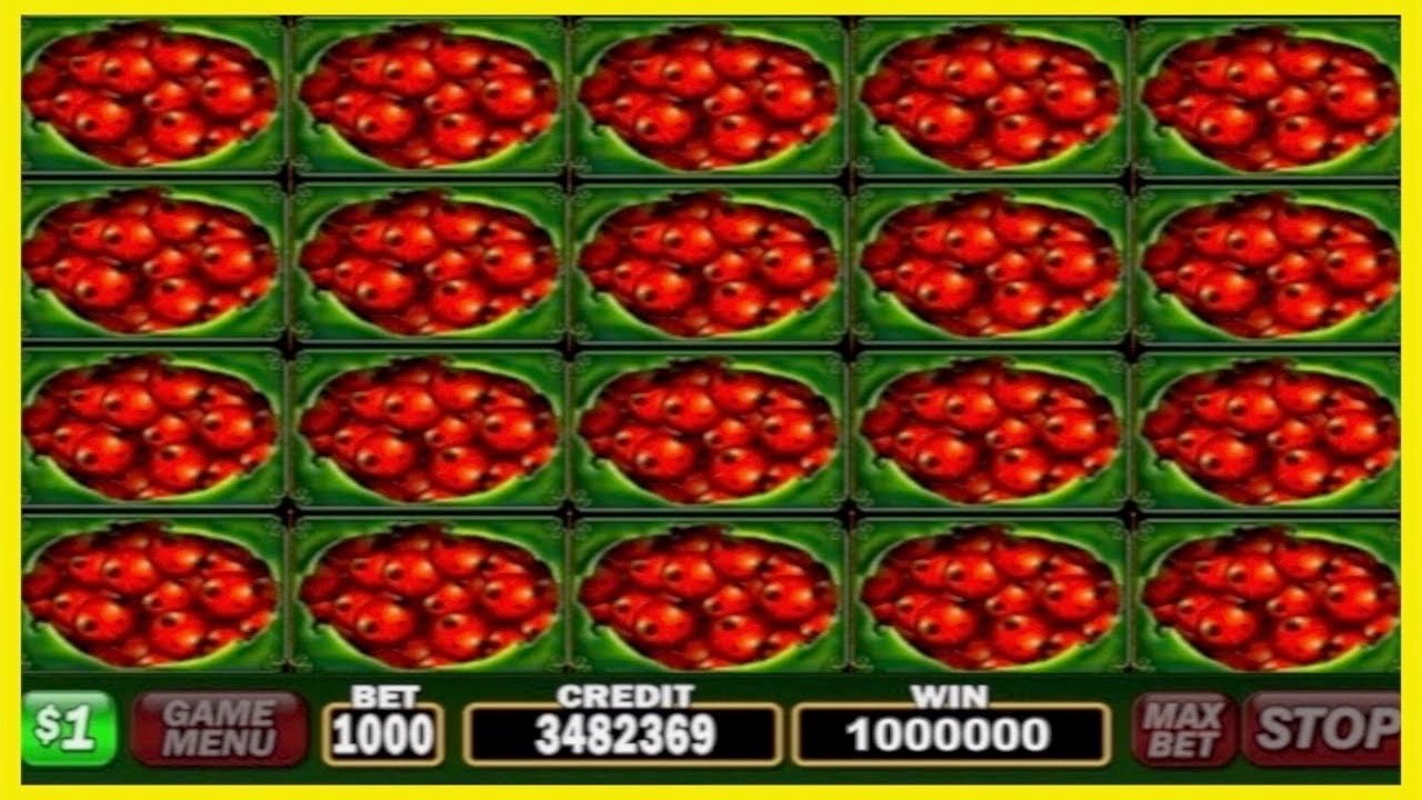 ★★JACKPOT HANDPAY★★$1000 BETS★★100 LADIES HIGH LIMIT SLOT MACHINE BUENO DINERO MUSEUM SLOTS IGT