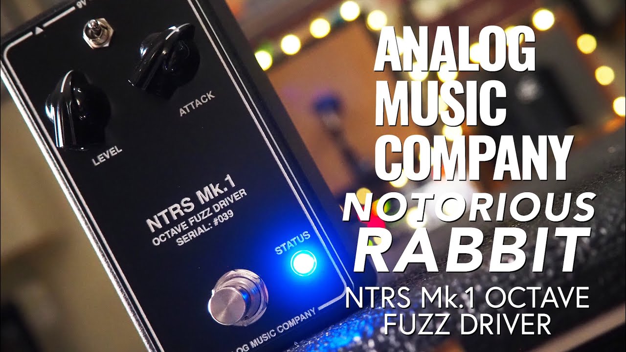 Analog Music Company // Notorious Rabbit Octave Fuzz Driver NTRS Mk.1 (Demo)