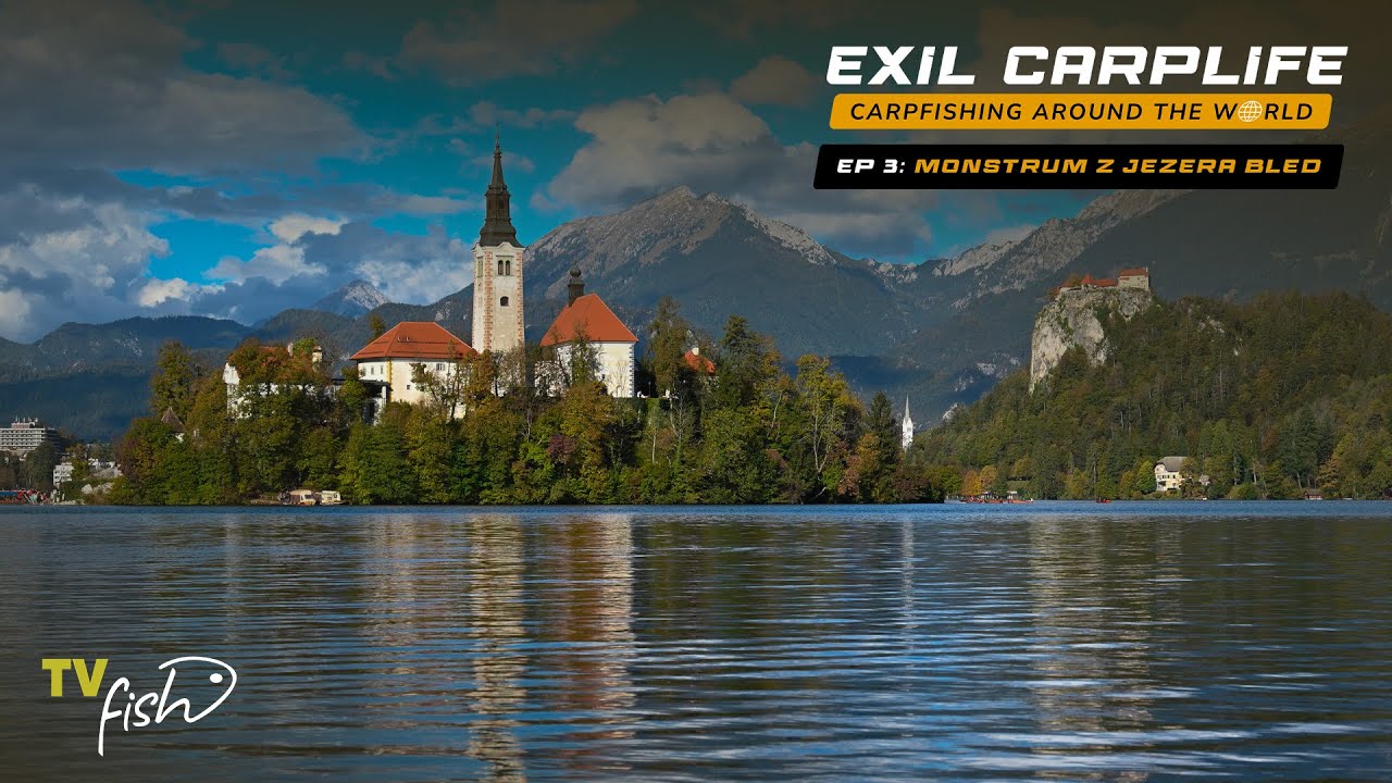 Monstrum z jezera Bled pro Ondru z Exilu | TV FISH CZ-SK | Exil Carplife | Lov kapra