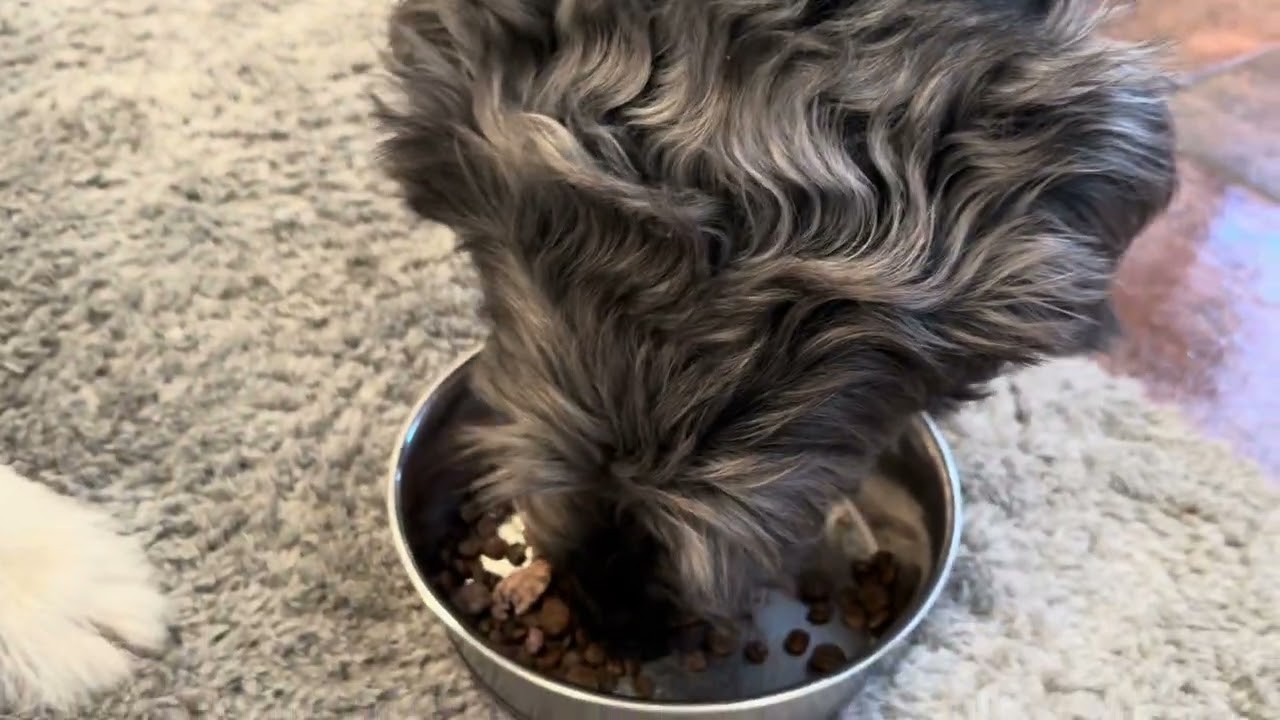 Feeding With Boundaries Not Borders Part 2